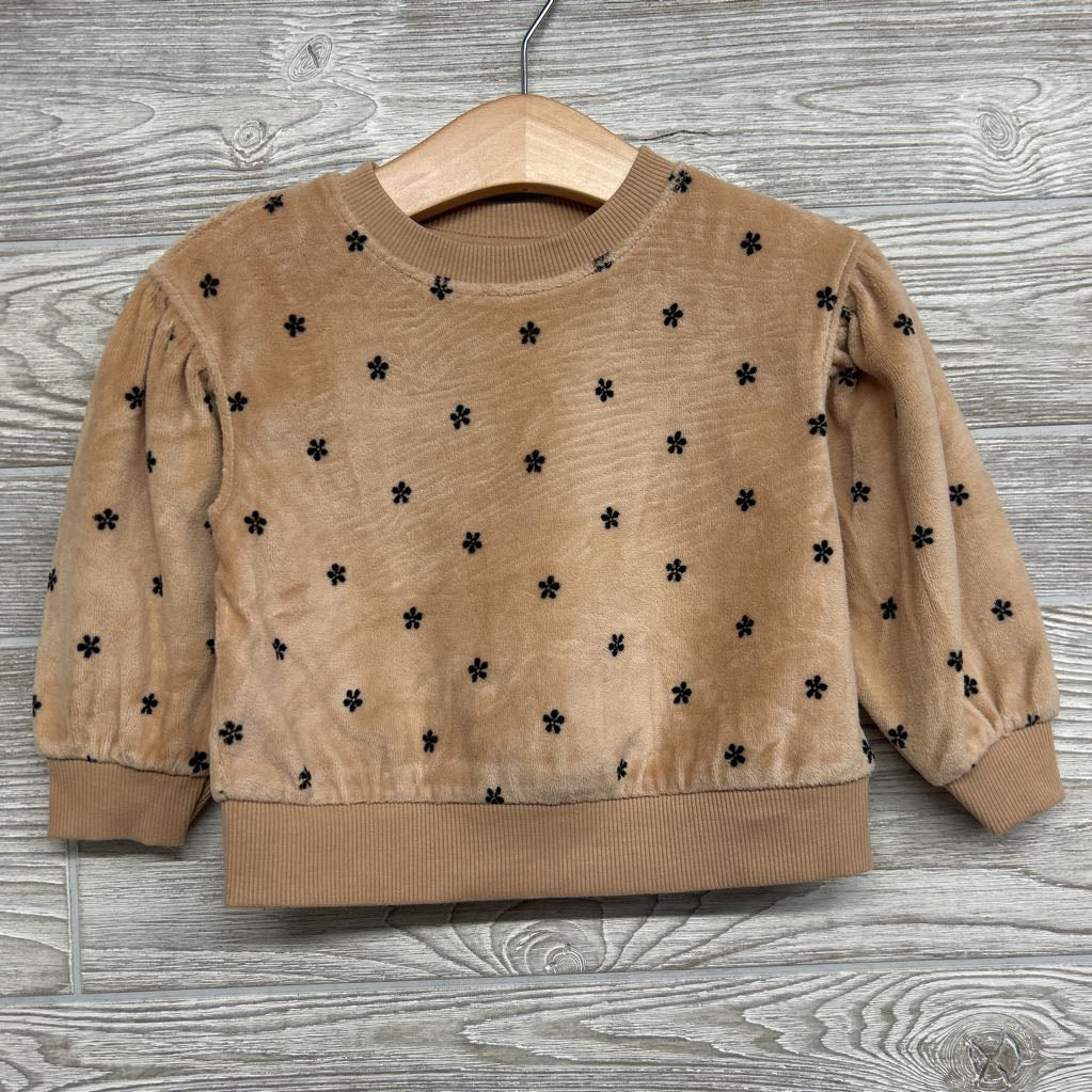 NEW Velour Crewneck Flowers 12M