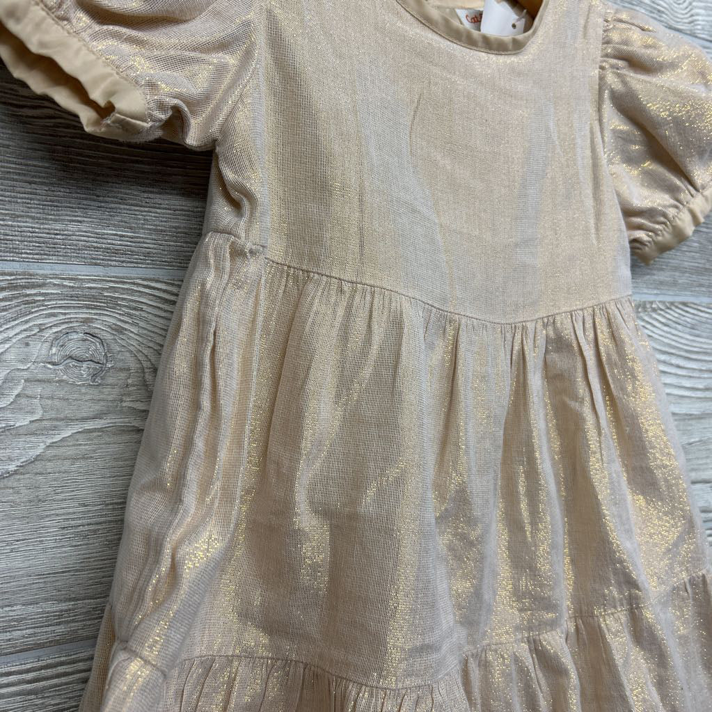 Glitter Dress 4t