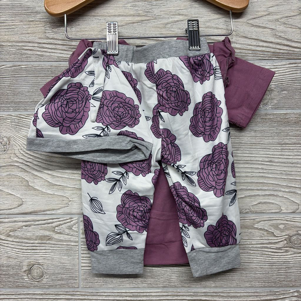 Nw/oT Bodysuit I'm My Daddy's Girl And My Mommy's World & Pants Flowers W/ Headwrap & Hat 0-3M
