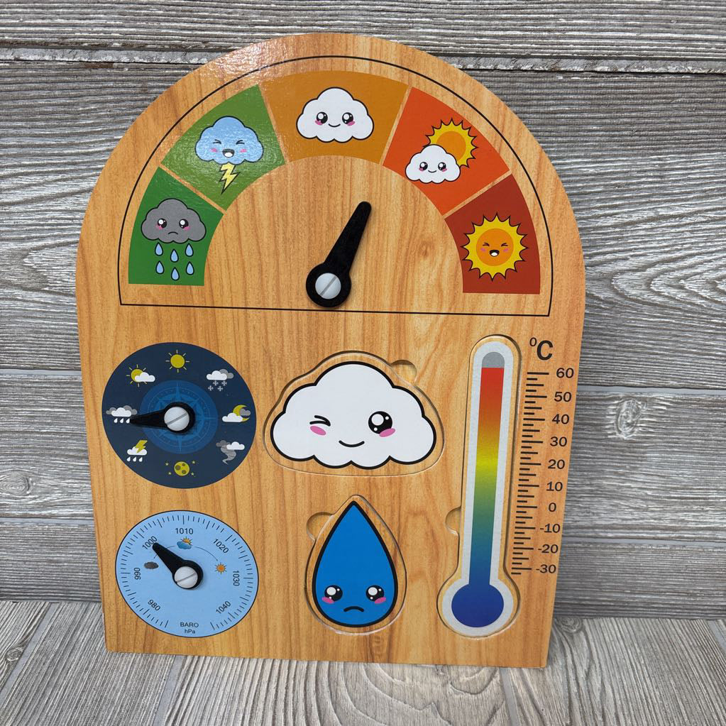 Weather Board Puzzle