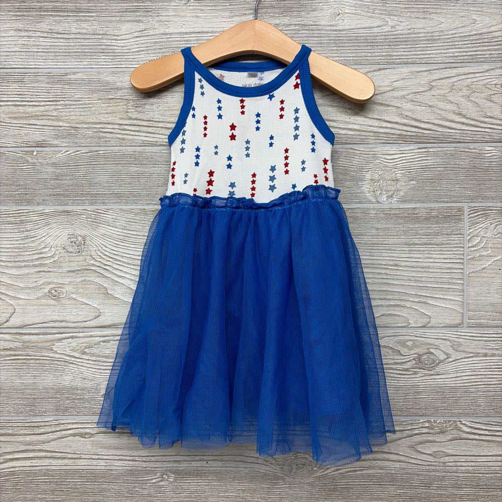 Ribbed Tank Tutu Tull Dress 2t