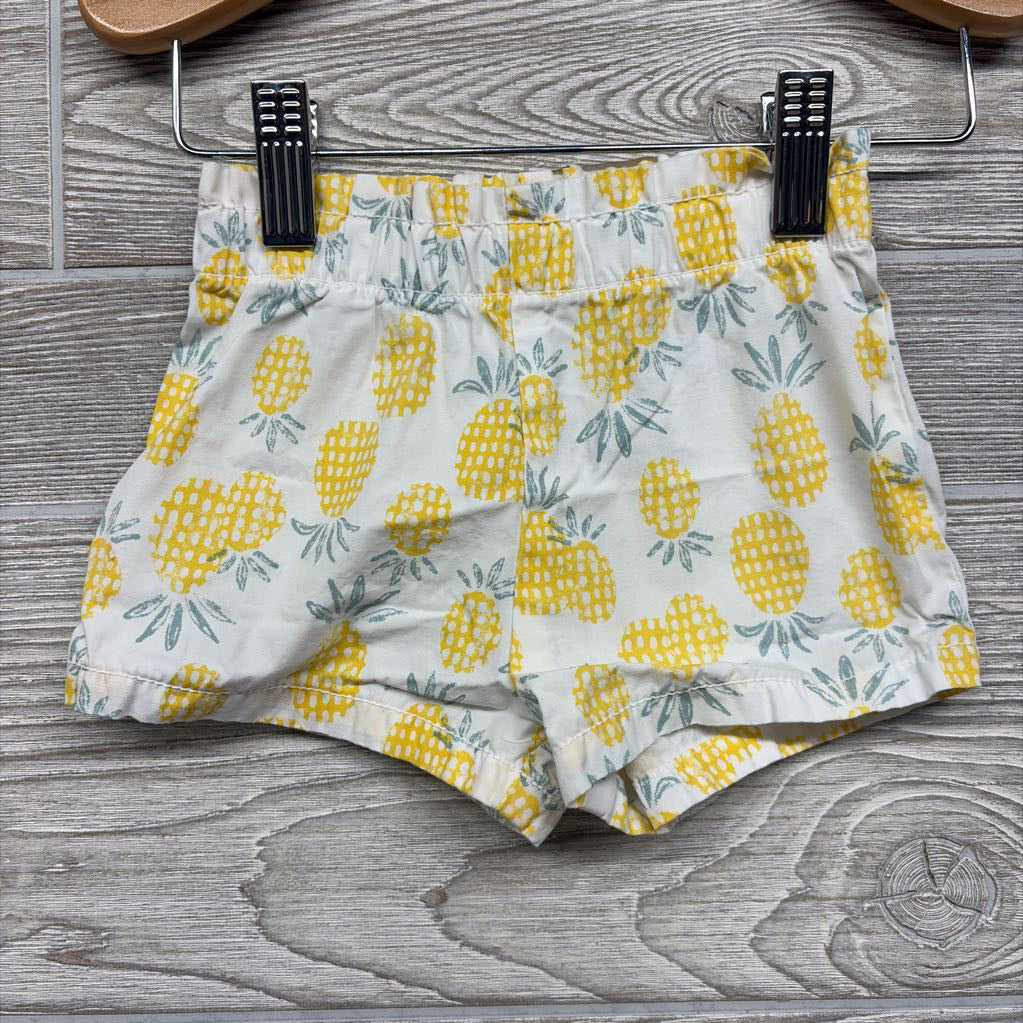 Flutter Sleeve Shirt & Shorts Pineapples 12M