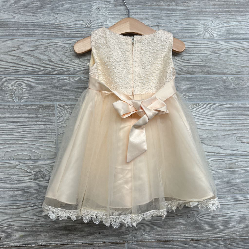 Tank Tulle Dress Flowers Sequins 9-12M