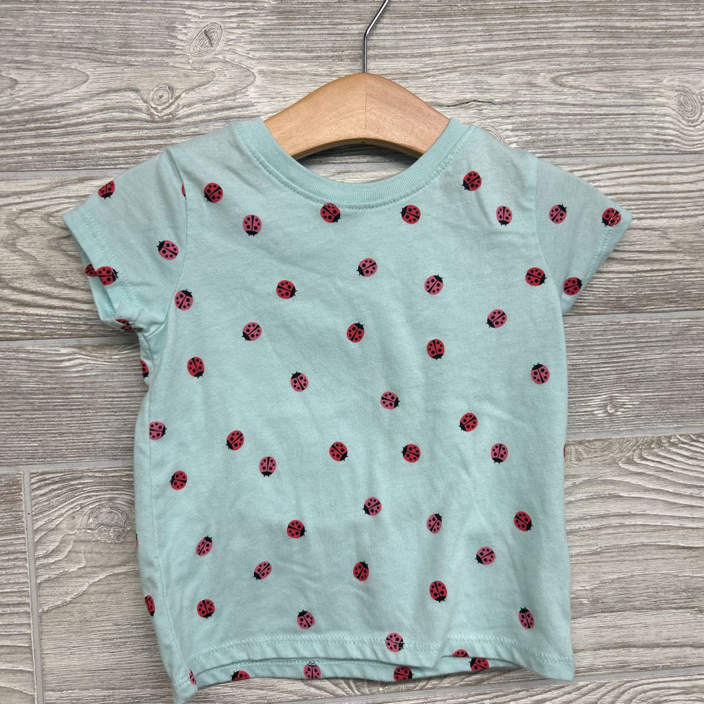 Shirt & Bike Shorts Lady Bugs 24M