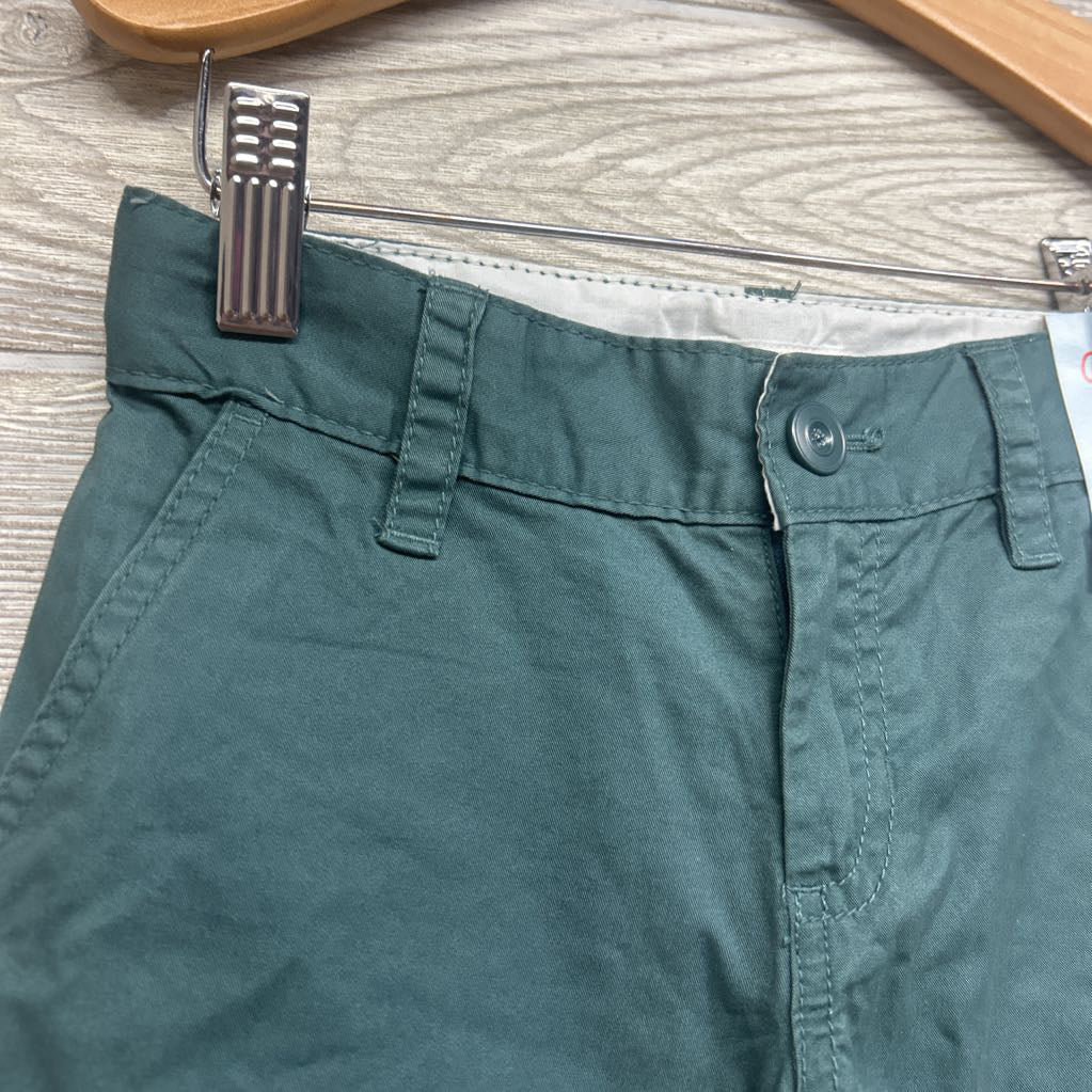 NEW Flat Front Shorts 5