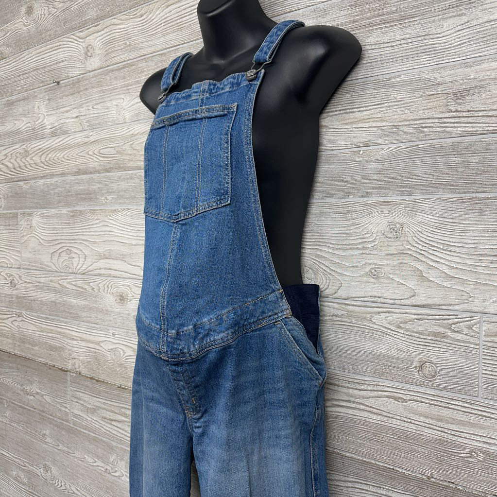 Side Panel Denim Overalls 8/Medium Short