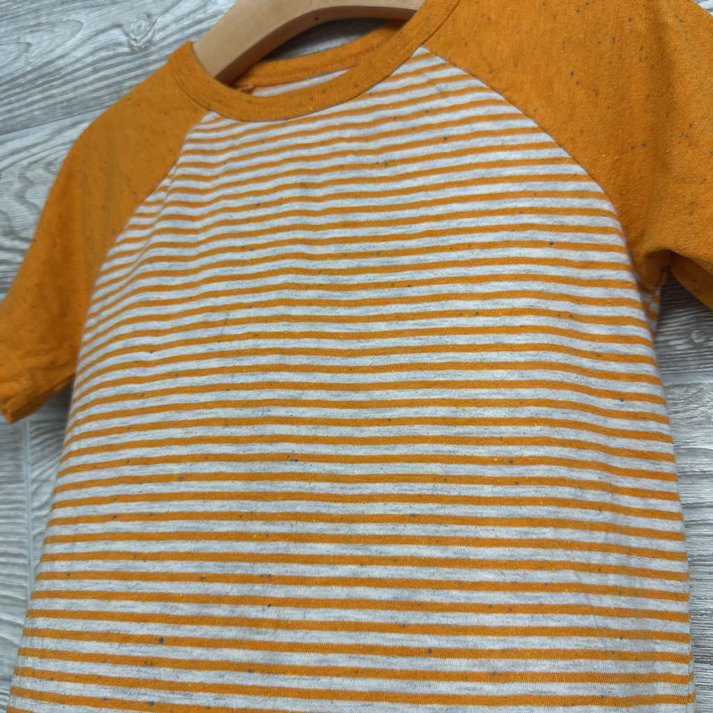 Shirt Stripes 5t