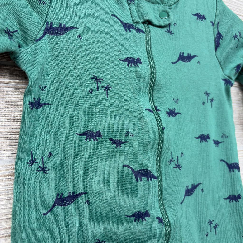Sleeper Dinosaurs 9M