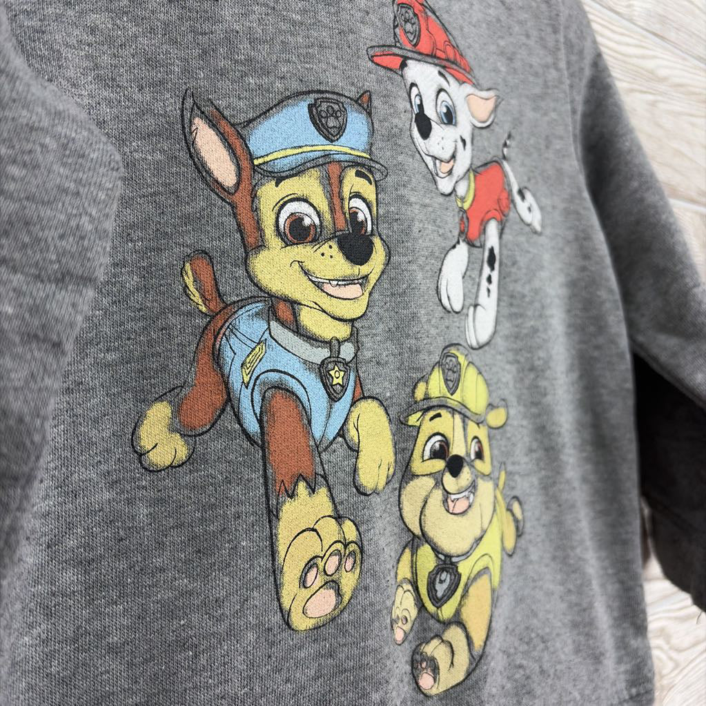 Hoodie Paw Patrol Characters 3T