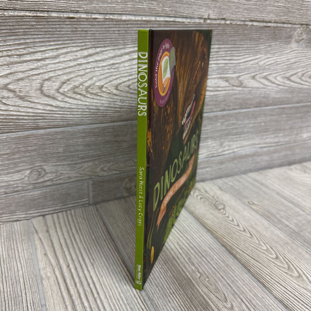 Shine A Light Dinosaurs Book