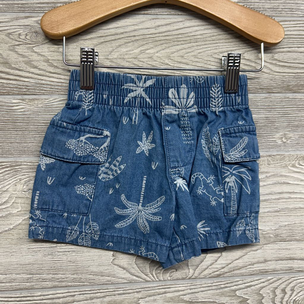Chambray Button Up Shirt & Shorts Palm Trees Lizards 12M