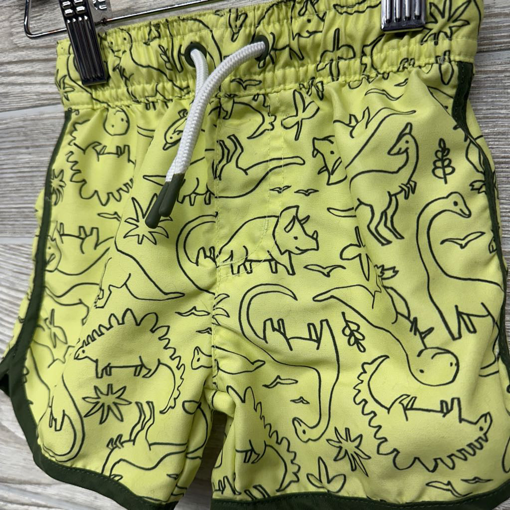 Swim Trunks Dinosaurs 12M