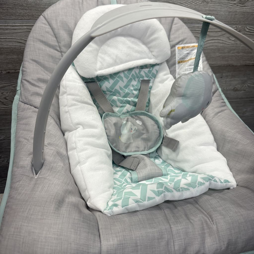2-in-1 Rocker & Bouncer Duo