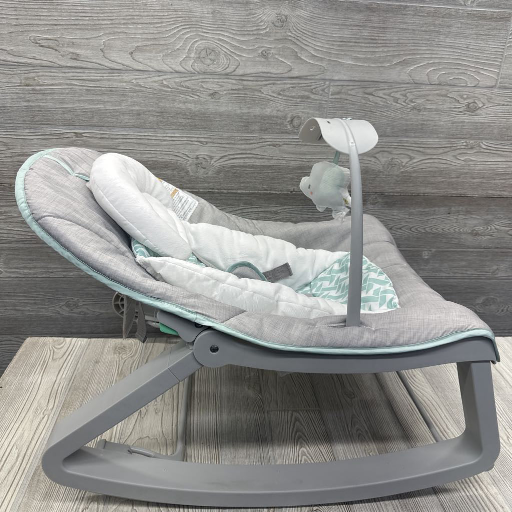 2-in-1 Rocker & Bouncer Duo
