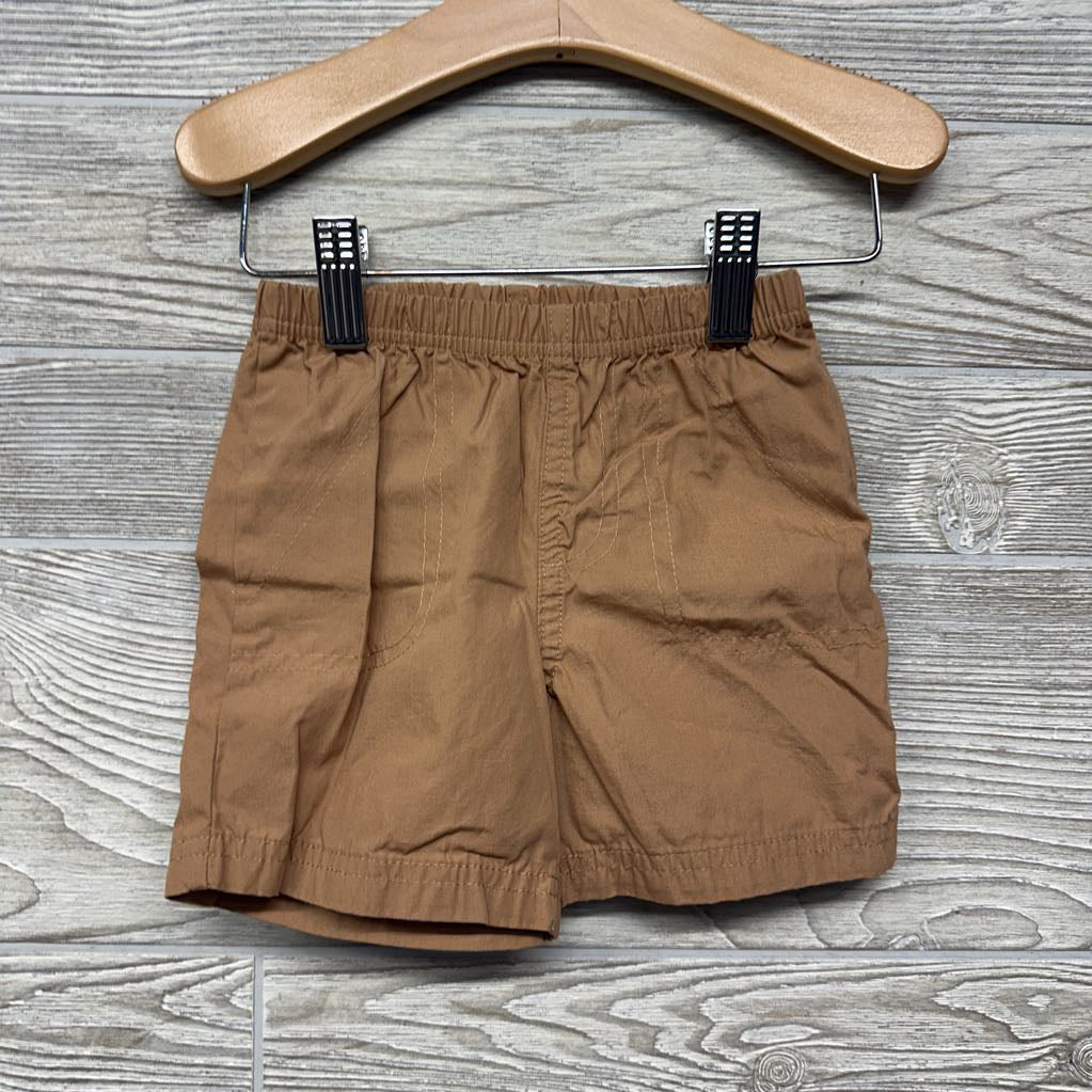 Henley Polo Bodysuit Palm Trees & Pull On Shorts 18M