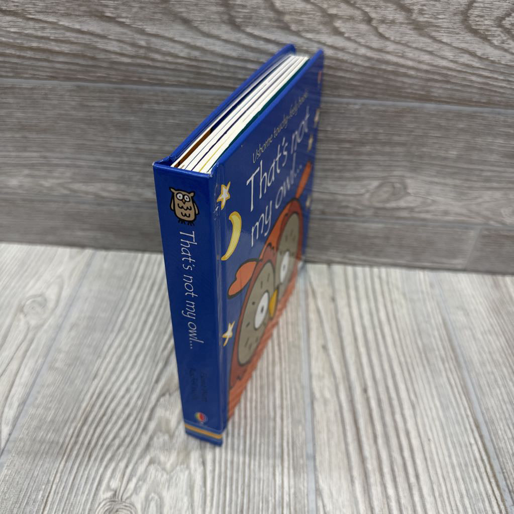 Usborne That's Not My Owl Board*