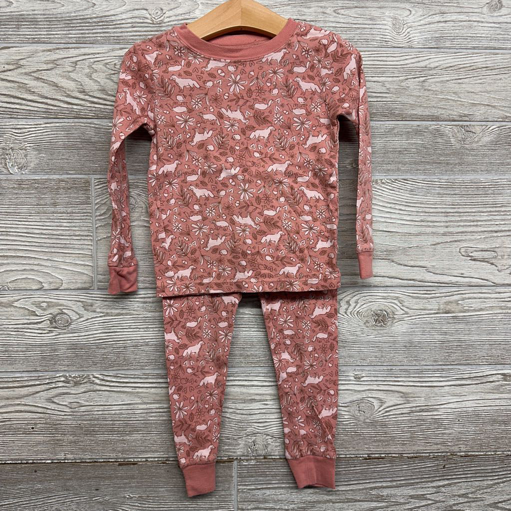 2 Pc LS PJs Wolves Racoons Flowers 4T