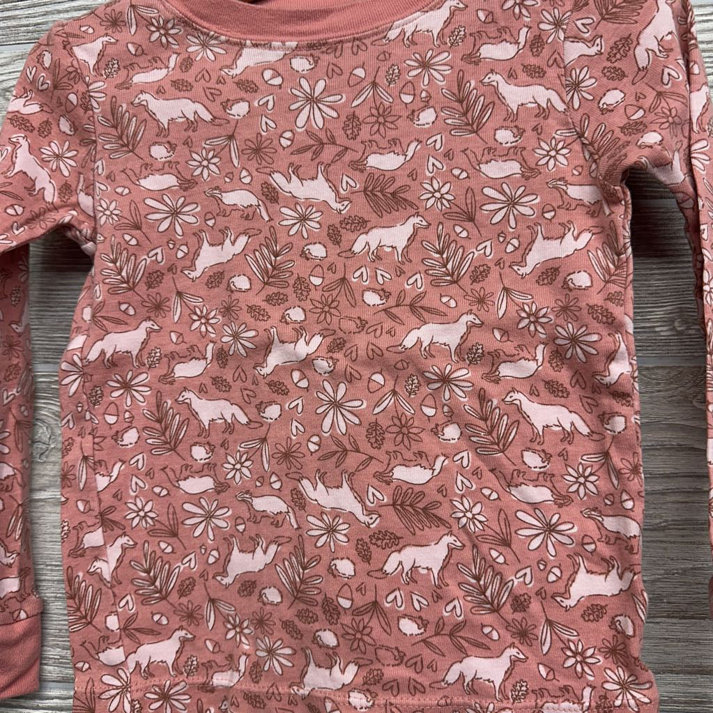 2 Pc LS PJs Wolves Racoons Flowers 4T