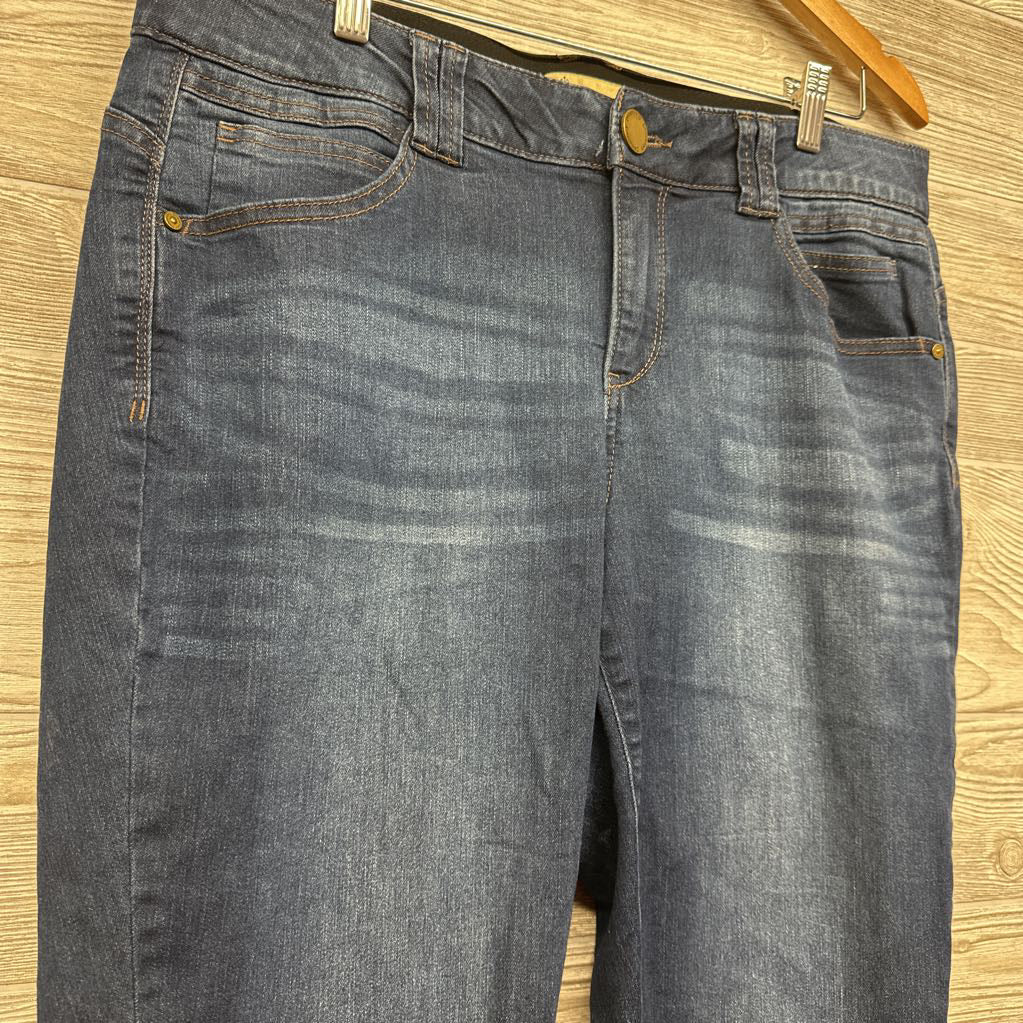 "Ab" Solution Jeans 14/Large*