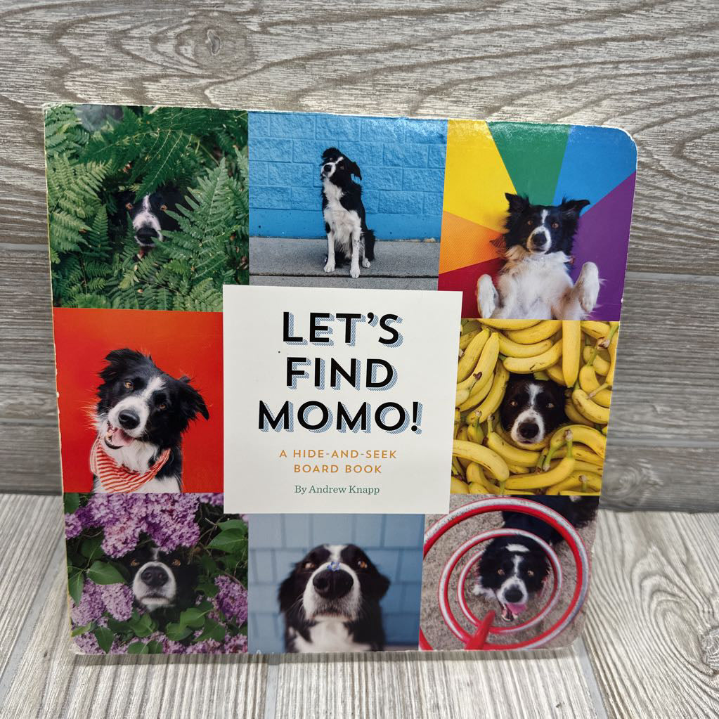 Let's Find Momo Board Book