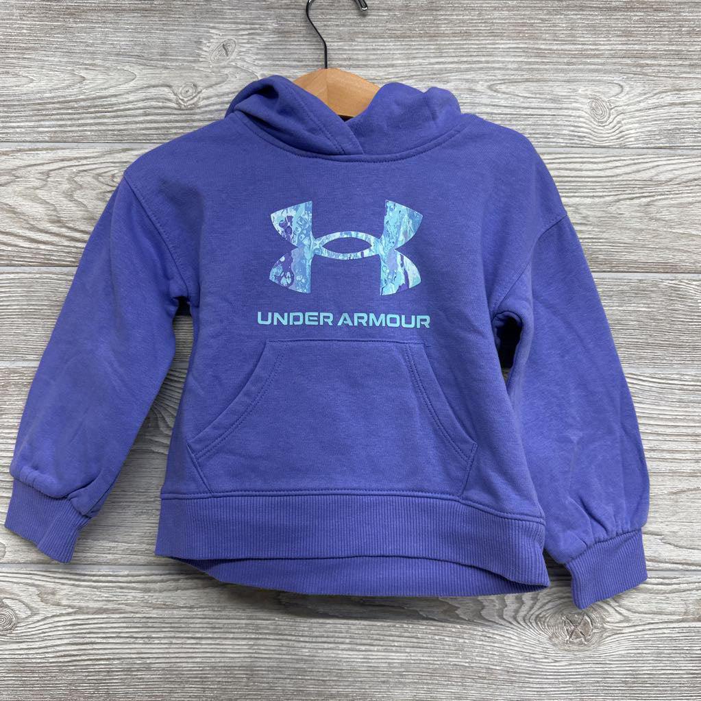 Hoodie Logo 2t