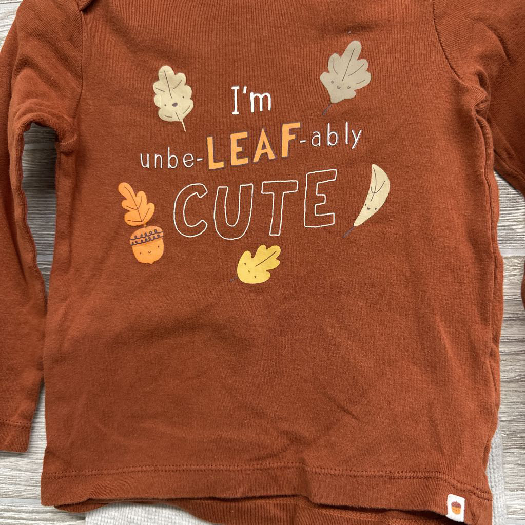 LS Shirt I'm Unbe-leaf-ably Cute & Waffle Knit Pants Acorns Pumpkins 24M