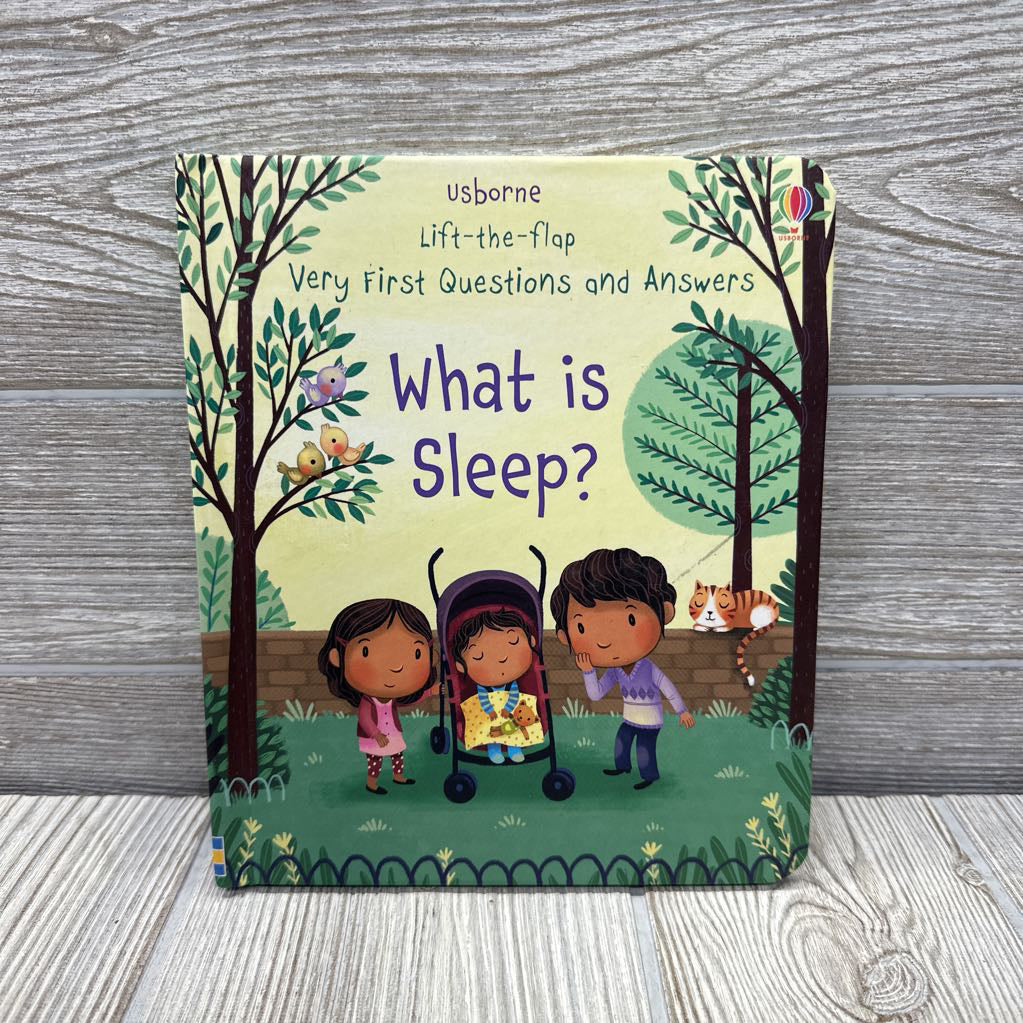 Usborne Lift A Flap What Is Sleep Board Book