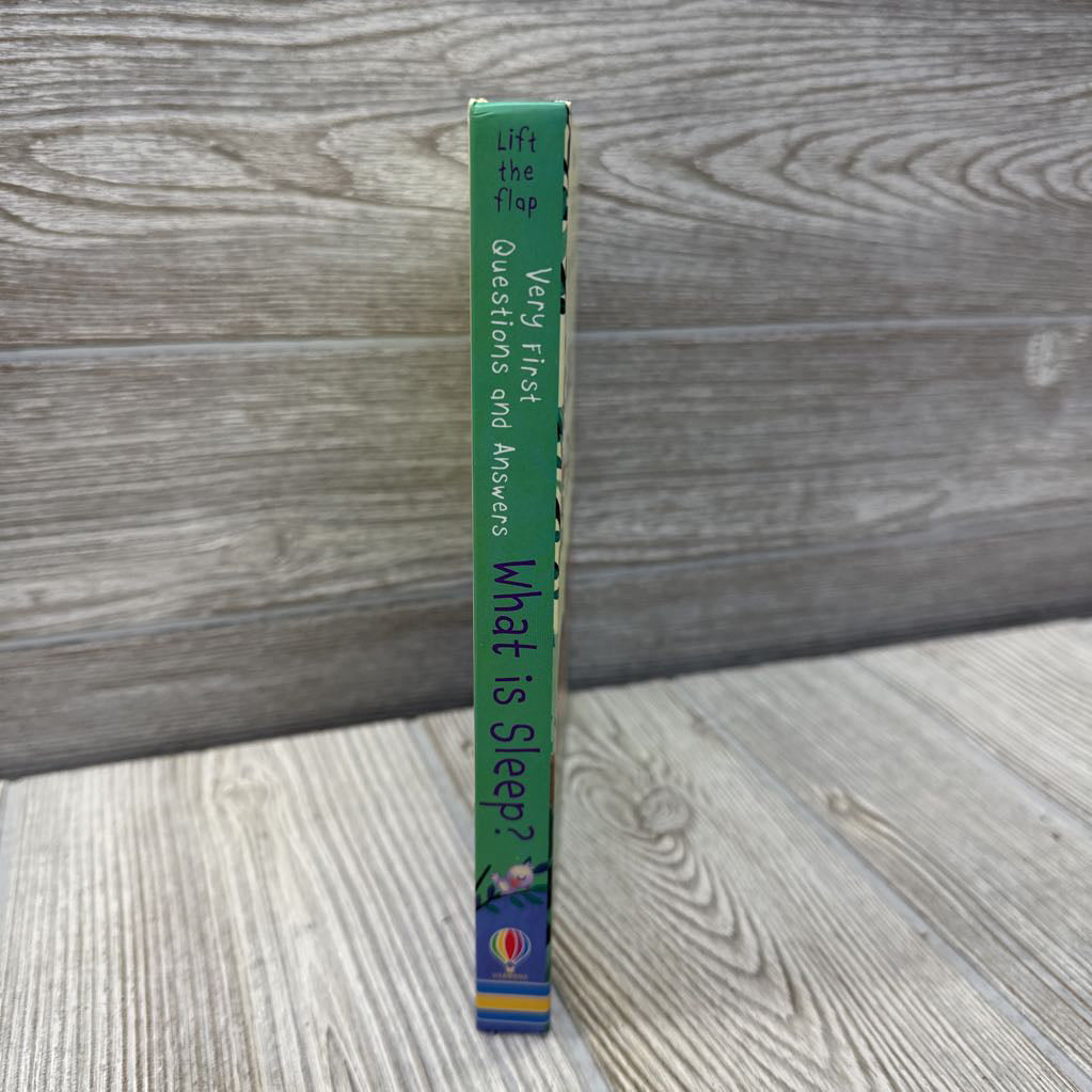 Usborne Lift A Flap What Is Sleep Board Book