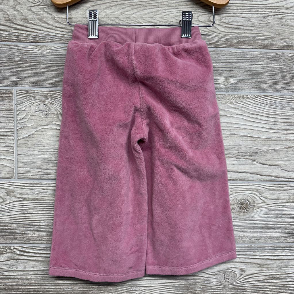 Velour Wide Leg Pants 2T