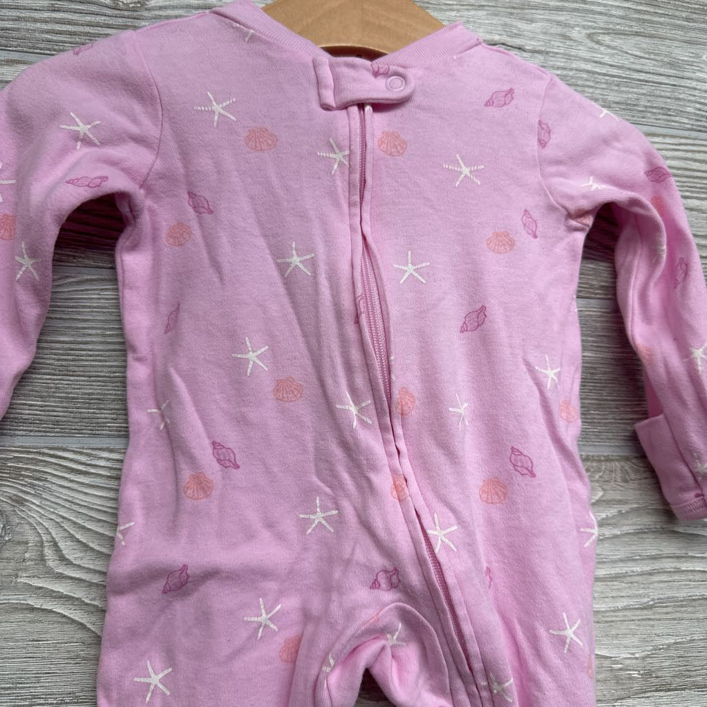 Sleeper Star Fish Seashells 3M