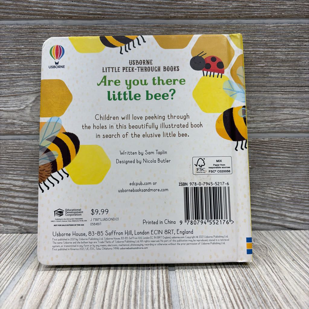 Usborne Are You There Little Bee Board Book