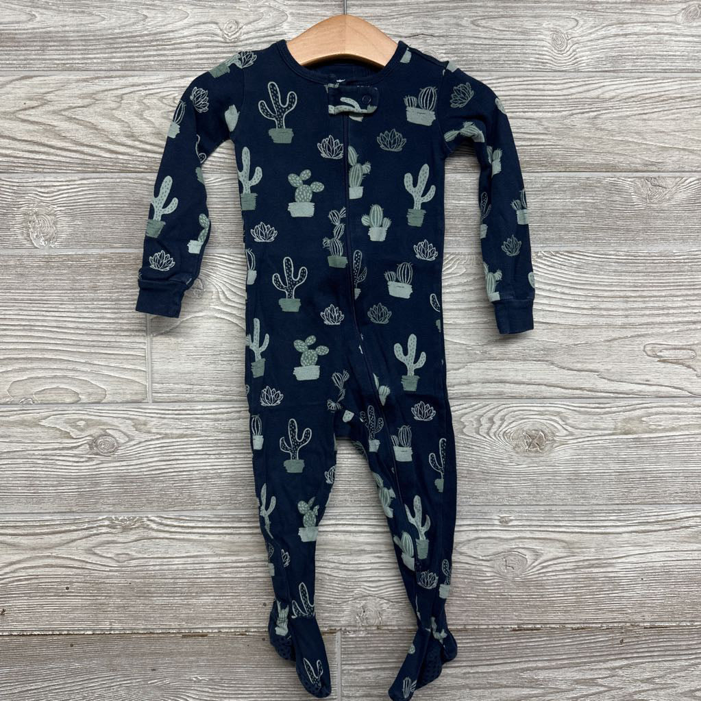 Sleeper Cactus 18M