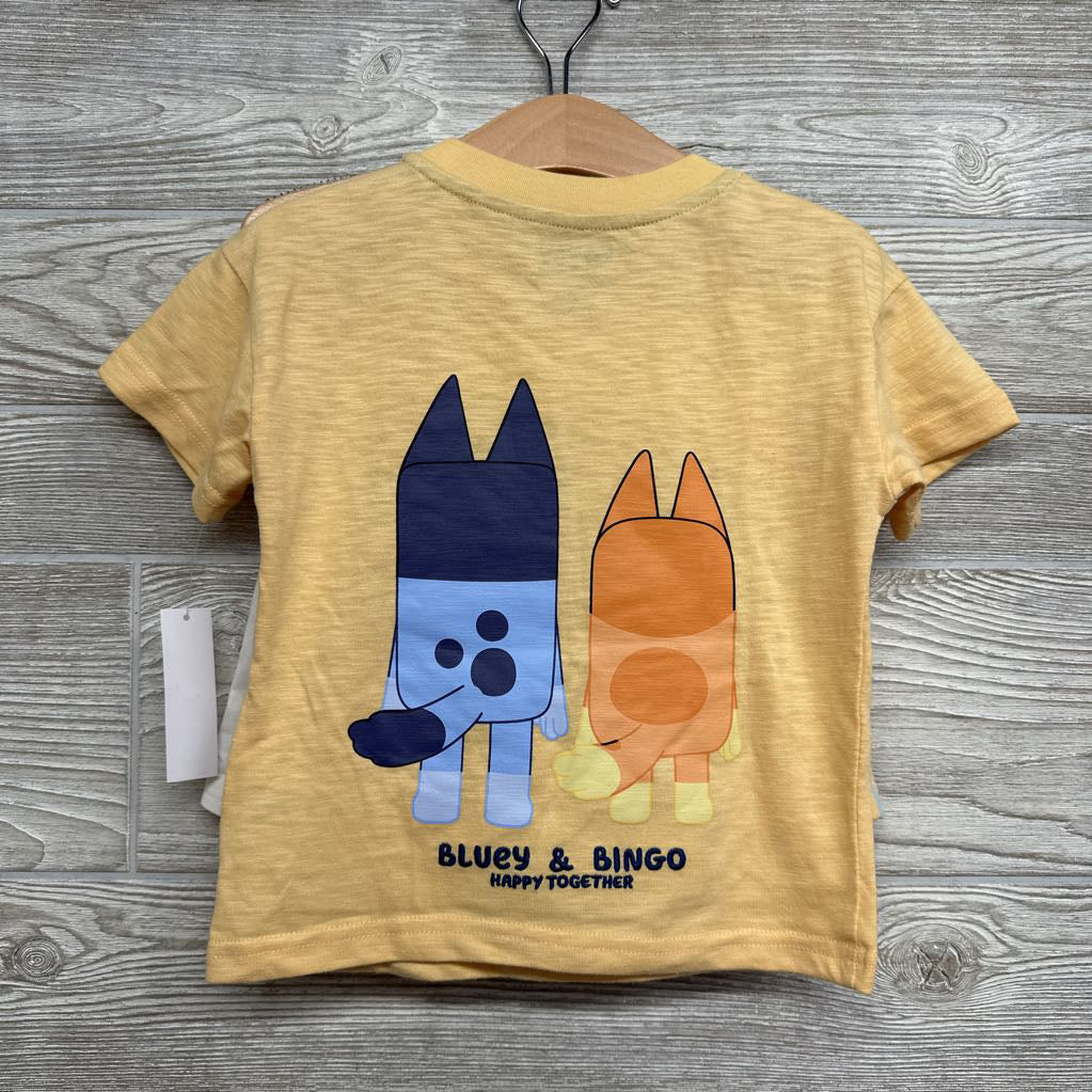 NEW Character Shirt Hooray & Shorts 2t