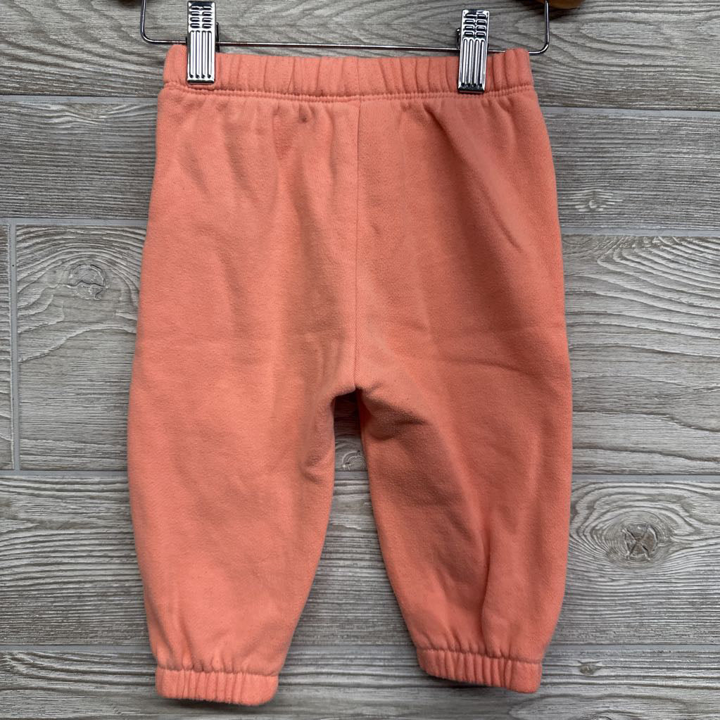 Drawstring Jogger Sweatpants Flowers 12-18M *
