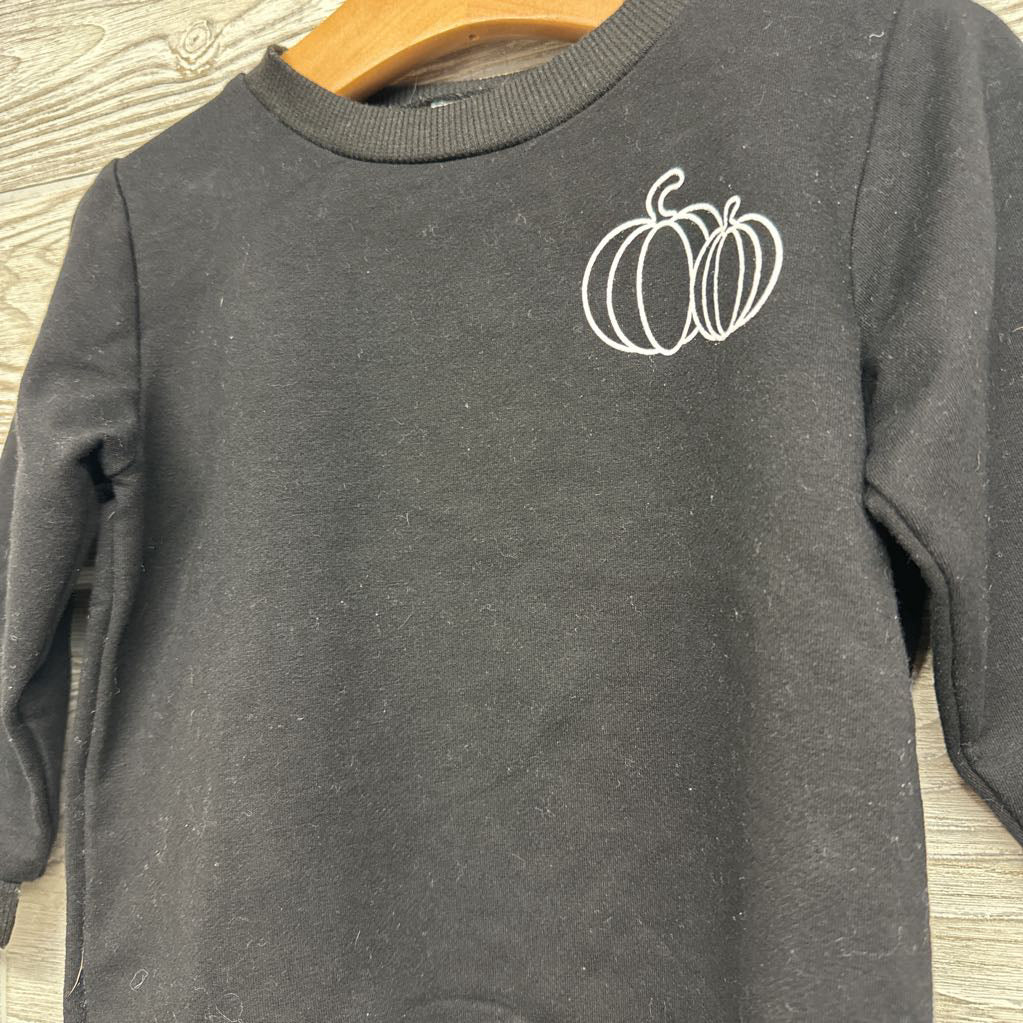 Crewneck Pumpkins 2-3