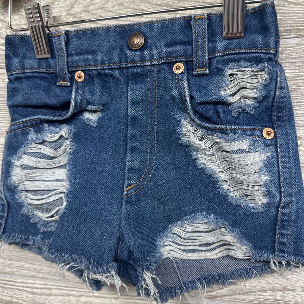 Distressed Denim Shorts Frayed 4T