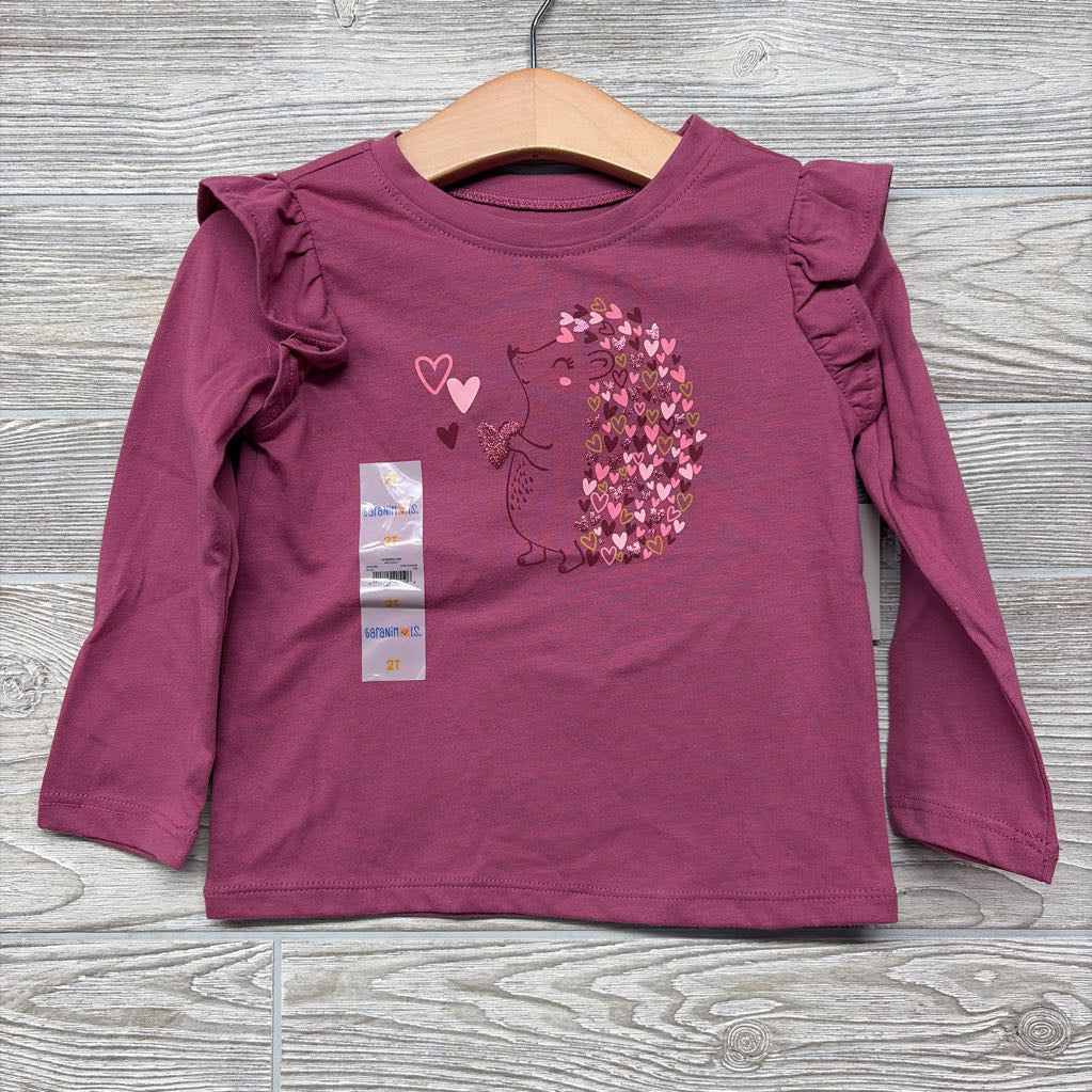 NEW LS Shirt Ruffles Hedgehog 2t