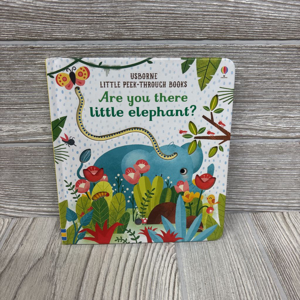 Usborne Little Peek-Through Books Board Book