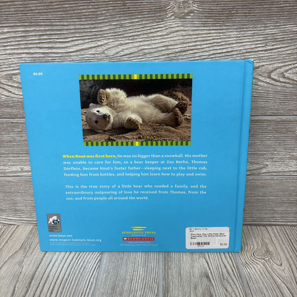 Knut How One Little Polar Bear Captivated The World Hardcover Book