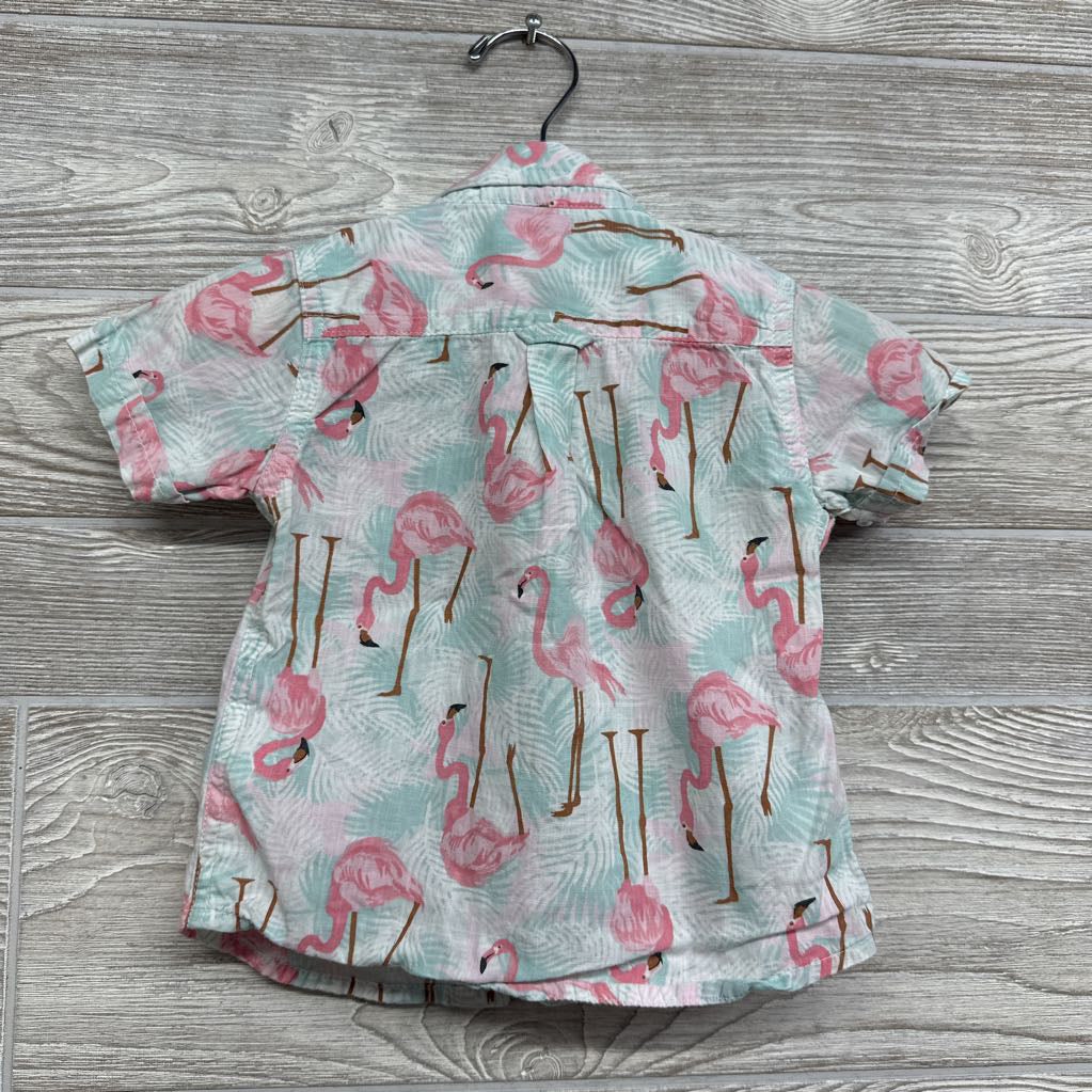 Button Up Shirt Flamingos 12-18M