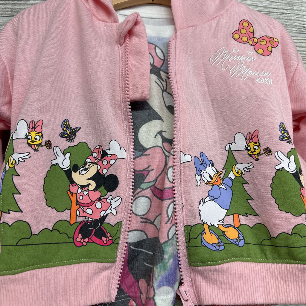 Full Zip Hoodie Characters, Water Colors Minnie Mouse & Tulle Skirt Flowers 3T