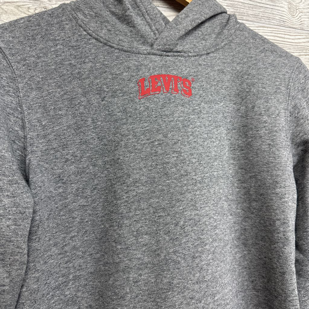 Hooded Sweatshirt Logo 12