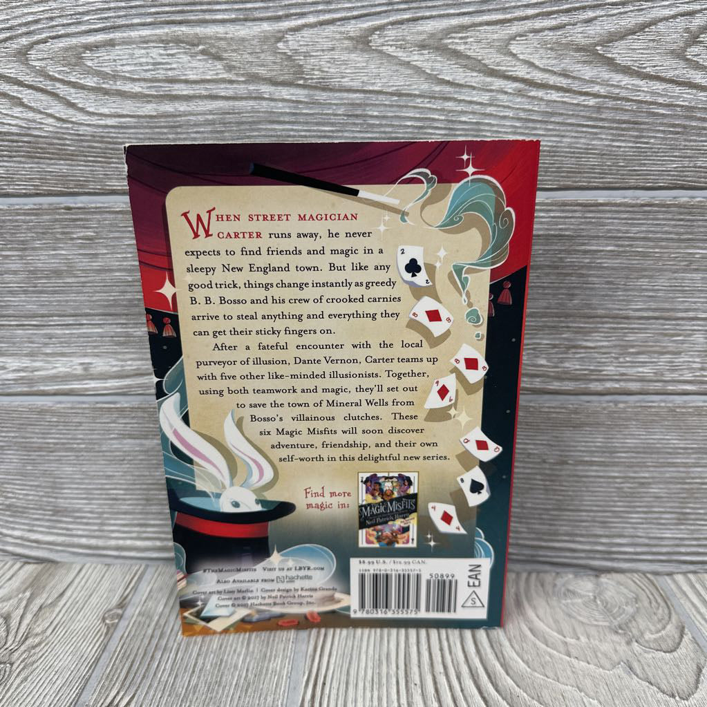 The Magic Misfits Chapter Book