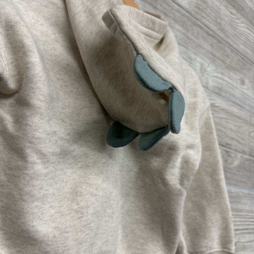 Hoodie Stomper & Jogger Sweatpants Dinosaurs 24M