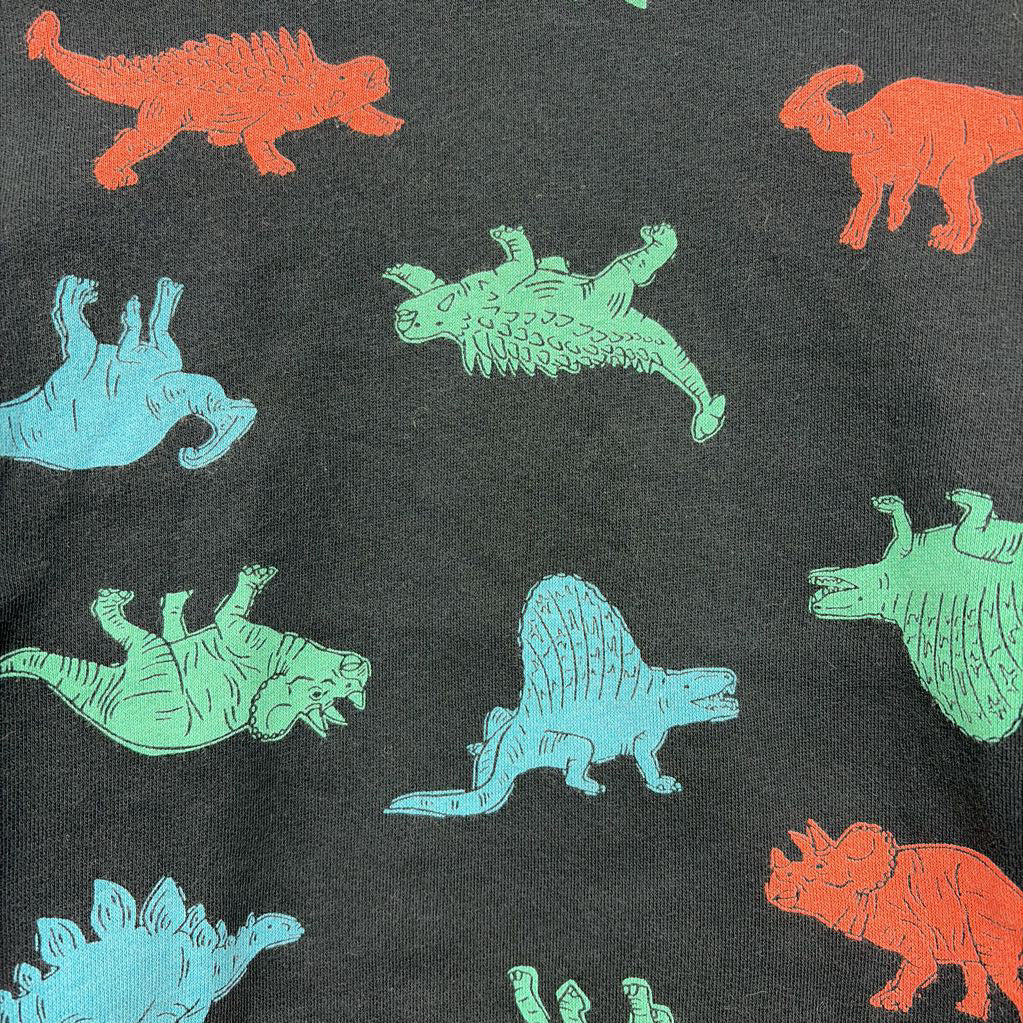 Crewneck Dinosaurs 5t