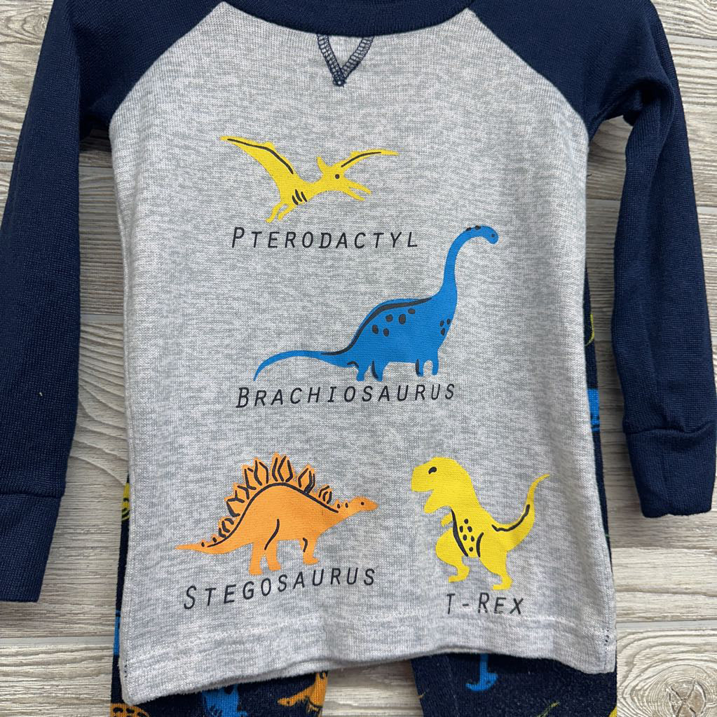 2 Pc Pj Dinosoaurs 2t