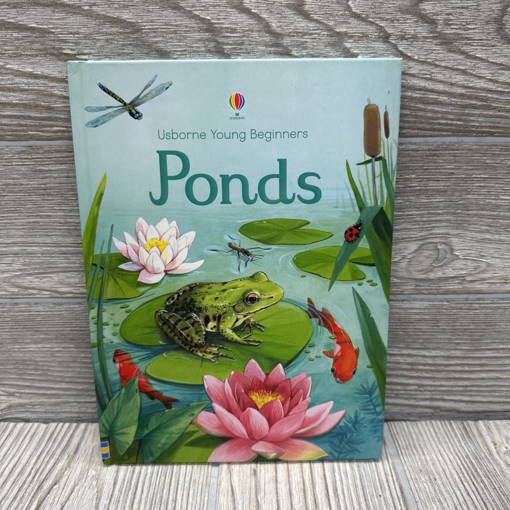 Usborne Beginners Pond Hardcover Book