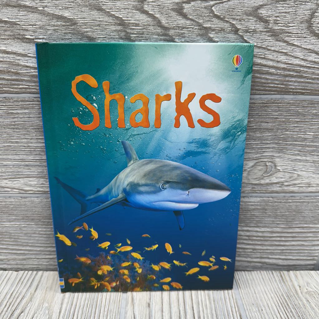 Usborne Beginners Sharks Hardcover Book