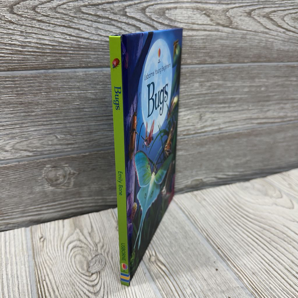 Usborne Beginners Bugs Hardcover Book
