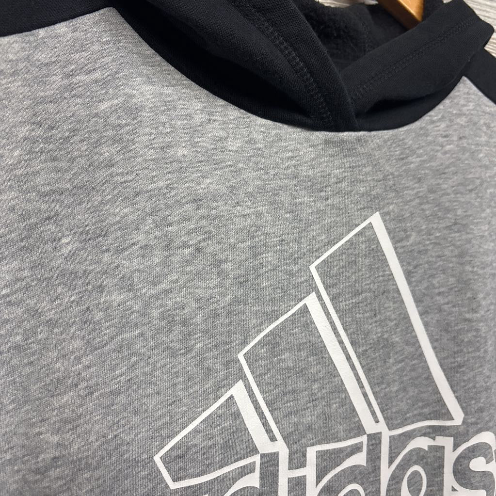Hooded Sweatshirt Logo 8